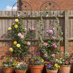 Trellis for Climbing Plants Outdoor, （2 Pack 70.8x19.6-inch）, Generic Metal - Image 8