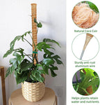2 Pack 60 Inch Moss Pole Monstera Plant Support, Coir Moss Poles - Image 8