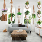 Macrame Plant Hangers - Image 4