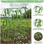 Cucumber Trellis for Raised Bed, Garden Arch Trellis for Climbing Plants Outdoor - Image 4