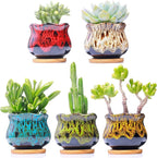 Cute Ceramic Succulent Garden Pots, Planter by LamDawn
