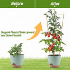 Avalution 10 Pack Bamboo Trellis - Image 4