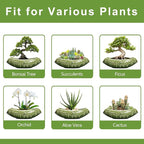 Bonsai Planter 18 Inch - Image 7