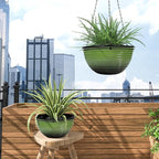10 Inch Hanging Planter, 2 Pack Hanging Planters - Image 7