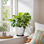 Ceramic Plant Pots - Image 6