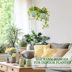 Hanging Planter for Indoor Plants 8 Inch, 2 Pack Self Watering Hanging Baskets - Image 4