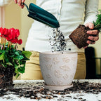 Ceramic Planter Pot - Image 5