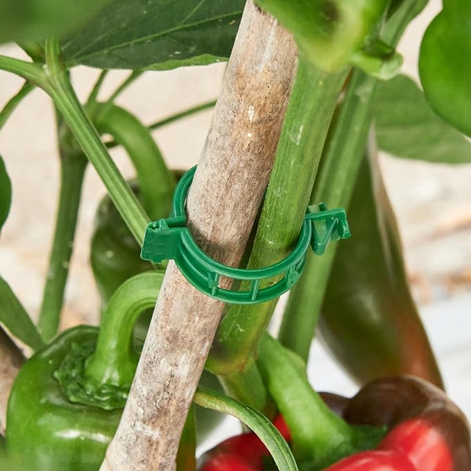 200 Pcs Plant Support Clips, Plastic Clips - Image 9