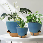 12/10/9/8 inch Self Watering Pots - Image 7