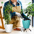 6 Pack 7 Inch Indoor Plant Pots - Image 7