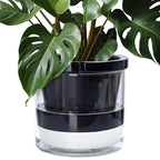 D'vine Dev 10 Inch Design Self Watering Planter by DvineDevPlanterPotsandStand