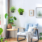 Hanging Planters for Indoor Plants, 2 Set Self Watering Hanging Flower Pots - Image 6