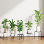 5-Pack Metal Plant Stands for Outdoor Indoor, Anti-Rust Iron Flower Pot Stand - Image 2