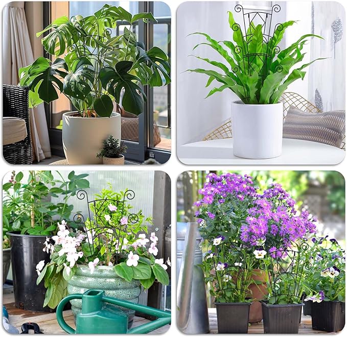 4 Pack Stackable Metal Plant Trellis - Image 6