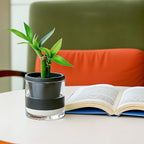 D'vine Dev 4 Inch Design Self Watering Planter - Image 4