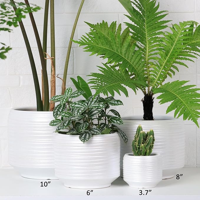 8 Inch + 6 Inch Ceramic Plant Pots Indoor - Image 5