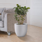 Kante 13.4" Dia Round Concrete Planter, Large Outdoor Modern Indoor Decorative - Image 2