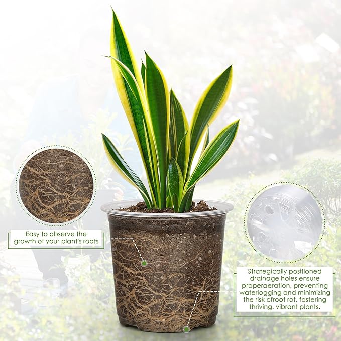 7 Inch Clear Nursery Pots for Plants - Image 3