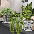Winlyn 3 Pcs Small Potted Plants Artificial Succulents Hanging Plants and Faux - Image 5