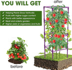 3 Pack Tomato Cages, Square Tomato Plant Stakes Support Cages Trellis - Image 4