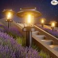 ALEPOD Solar Pathway Lights Outdoor by ALEPOD