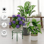 5-Pack Metal Plant Stand Heavy Duty Flower Pot Stands - Image 4