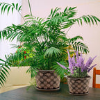 10 Inch Planter Pots for Plants, 4 Pack Plastic Large Flower Pots Indoor Outdoor - Image 6