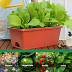 Window Box Planter, 12 Pack Plastic Vegetable Flower Planters Boxes 17 Inches - Image 2