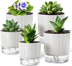 5 Pack Self Watering Pots for Indoor Plants, Easy-Care Pots for African Violet by Unknown