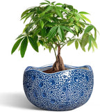10 Inch Plant Pot by Thirtypot
