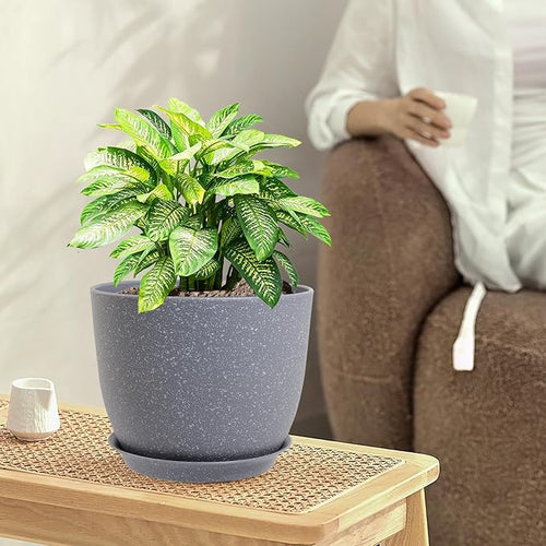 10/9/8 inch Plant Pots, Flower Pots - Image 2