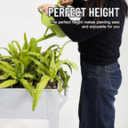     Elevate Herb Garden Planter Box - Image 2