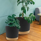 QCQHDU 12 inch Plant Pot, 2 Pack Planters - Image 6