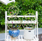 2PCS Hoya Trellis Plant Support Indoor Metal Frame Unique Trellis - Image 6