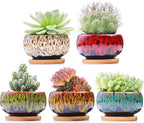 Cute Ceramic Succulent Garden Pots, Planter by LamDawn