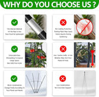 2 Pack Garden Trellis for Climbing Plants, Garden Trellis Rustproof Plastic - Image 4