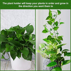 Geiserailie 60 Pieces Plant Climbing Wall Fixture Clips - Image 4