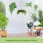 2 Pack 10 Inch Self Watering Hanging Planters - Image 4