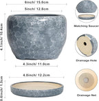 SQOWL 6 Inch Plant pots Indoor - Image 3