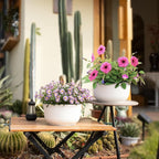 T4U 10 Inch Self Watering Pots for Indoor Plants, 2 Pack Large Plant Pots - Image 5