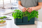 D'vine Dev Herb Garden Planter Set, Plastic Plant Pots - Image 4