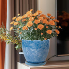 8 Inch Plant Pot - Image 2