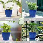 Plant Pots Indoor with Saucers & Drainage - Image 4