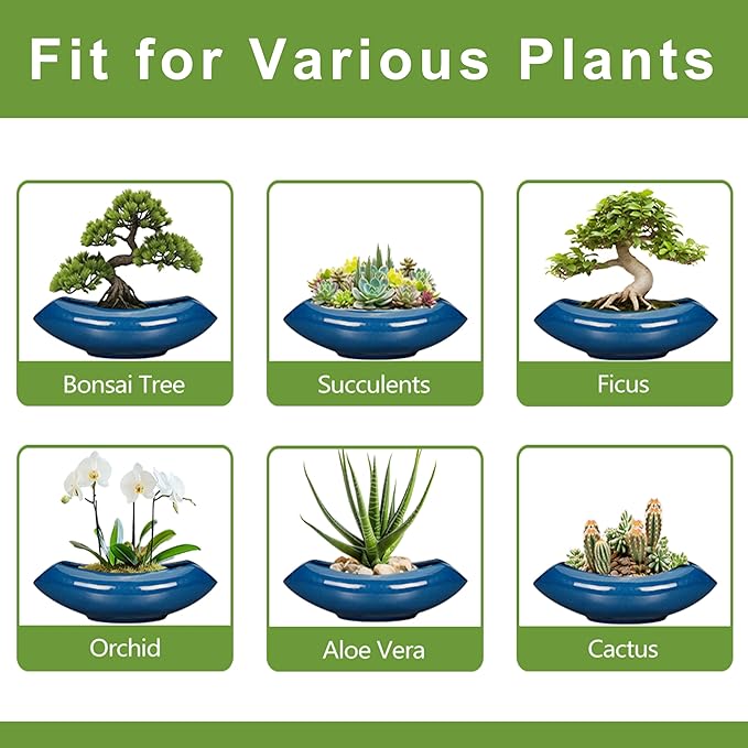 Bonsai Tree Pot 18 Inch - Image 7