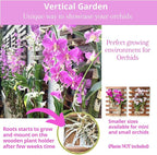 ShopLaLa Wall Planter for Climbing Plants Outdoor - Image 5