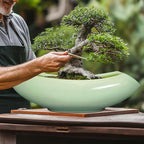 Ceramic Bonsai Pots - Image 8