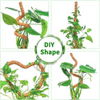 2 Pack 60 Inch Moss Pole Monstera Plant Support, Coir Moss Poles - Image 5