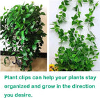 100Pcs Plant Climbing Wall Fixture Clips, Plant Vine Wall Clips Self-Adhesive - Image 6