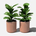 Veradek Demi Series Round Planter - Image 8