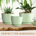 Plant Pots 12/10/9 inch Set of 3, Flower Pots - Image 4